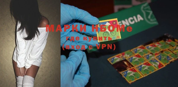 прущие грибы Карталы