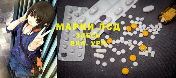 прущие грибы Карталы