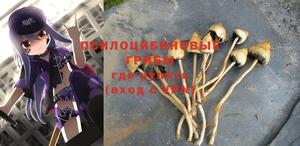 прущие грибы Карталы