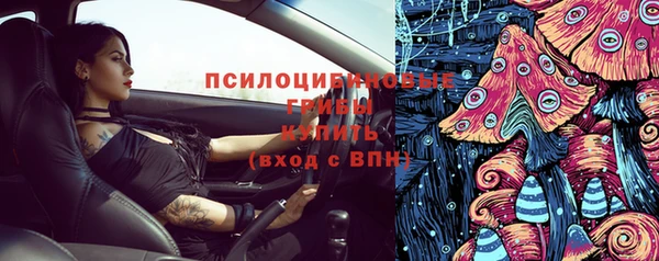 прущие грибы Карталы