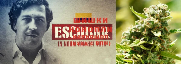 первитин Карпинск