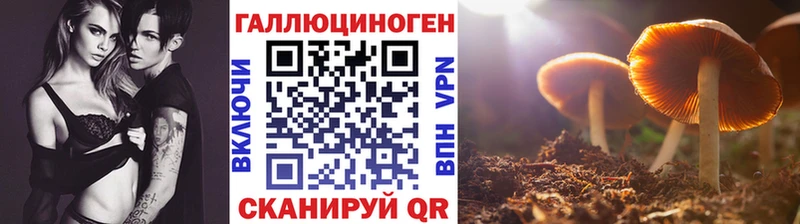 Псилоцибиновые грибы мухоморы  Купить  Балашов 